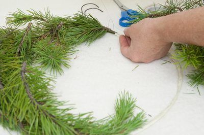 How to Preserve Pine for a Wreath | eHow Preserving Pine Needles, Pine Leaves Decor, Preserve Pine Branches, How To Preserve Evergreen Branches, Preserving Pine Branches, How To Preserve Pine Branches, How To Preserve Cedar Branches, Pine Branches Decoration, Diy Pine Wreath