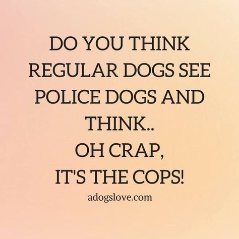 Dog Quotes Funny Hilarious, Funny Dog Sayings, Funny Dog Quotes, Pet Quotes, Quotes Hilarious, Dog Lover Quotes, Dog Quotes Love, Dog Rules, Dog Signs