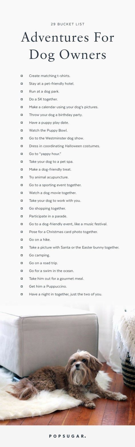 29 Bucket List Adventures For Dog Owners Lou Dog, Dogs Stuff, About Dogs, Puppy Play, Dog Info, 웃긴 사진, Crazy Dog, Cane Corso, Dog Show