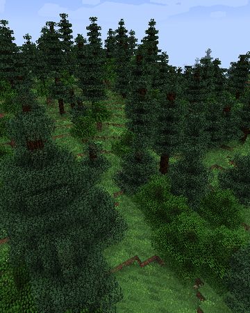 Spruce Woods | Biomes O' Plenty Wiki | Fandom Spruce Biome Minecraft, Taiga Biome, Forest Biome, Dead Forest, Autumn Hill, Cold Deserts, Spruce Trees, Dry River, Kelp Forest