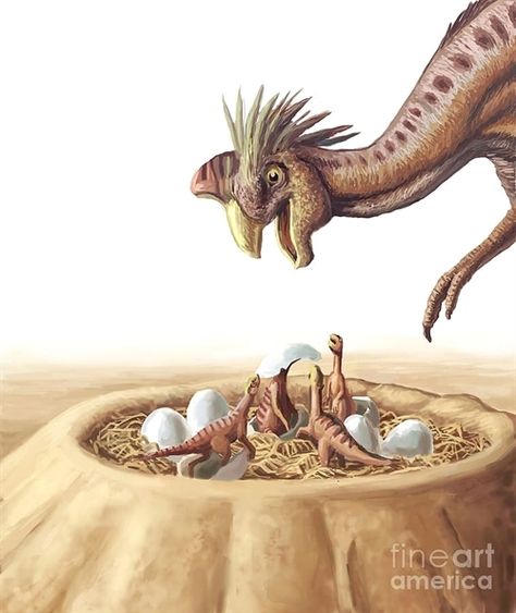 Oviraptor And Nest by Spencer Sutton Dino Trex, Castle Crafts, Prehistoric Wildlife, Tree Stencil, Prehistoric World, Paleo Art, Extinct Animals, Prehistoric Creatures, Prehistoric Animals