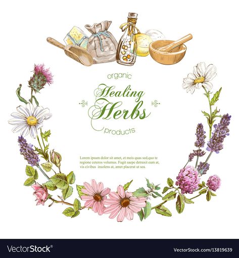 Vintage Banner Vector, Herbal Cosmetics, White Background Design, Tea Logo, Vintage Banner, Health Care Products, Pamphlet Design, Wedding Posters, Herbal Oil