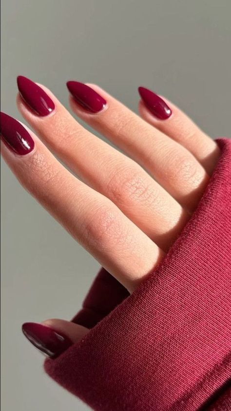 Nails Vino, Cherry Wine Nails, Clear Gel Nail Polish, Italy Nails, Clear Gel Nails, Chameleon Nails, Dark Red Nails, Wine Nails, Polish Manicure