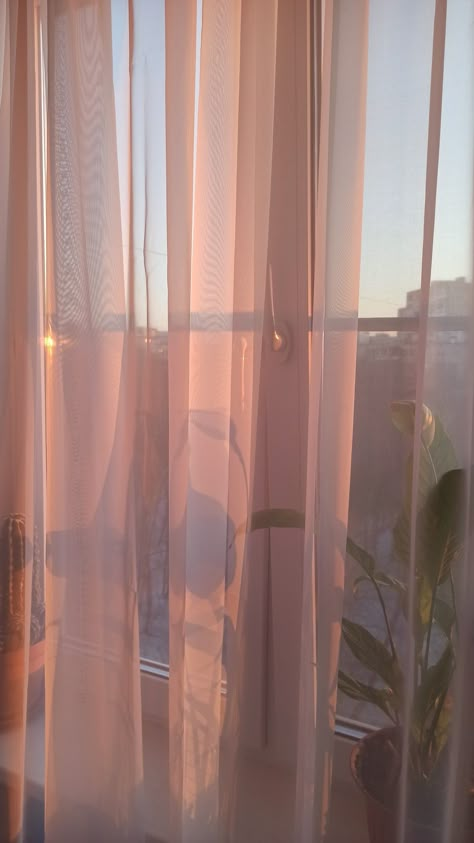 Open Window, The Window, Curtains, Sun, Pink