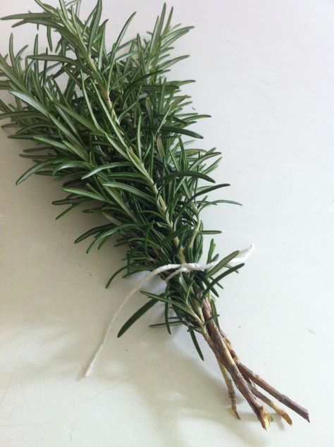 Rosemary Aesthetic Flower, Rosemary Aesthetic, Cosmetics Laboratory, Rosemary Water, Flower Catalog, Growing Rosemary, Tattoo Plant, Vision 2024, Rosemary Plant