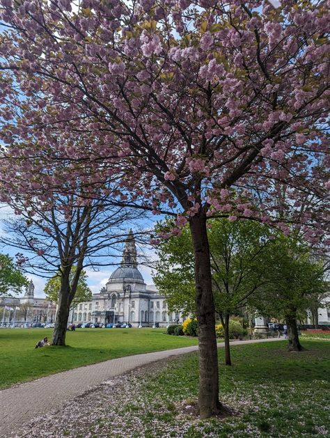 UK, Wales, Cardiff, Spring, Beautiful, old architecture, light Academia, Cardiff University University Uk Aesthetic, Uk Universities Aesthetic, Cardiff University Aesthetic, Cardiff Aesthetic, Cardiff Uni, Learn Welsh, University Inspiration, Cardiff University, Uk Summer