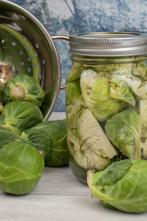 5-Minute Pickled Brussels Sprouts – Two Different Flavors Pickling Brussels Sprouts, Pickled Brussel Sprouts For Canning, Canning Brussel Sprouts Not Pickled, Pickled Brussel Sprouts Refrigerator, Pickled Brussel Sprouts Recipes, Pickled Brussels Sprouts Recipe, Candied Pickles, Pickled Brussel Sprouts, Ferment Recipes