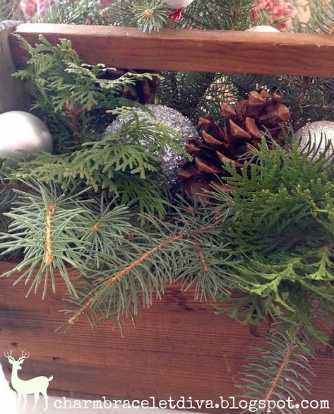 Vintage wooden tool box with evergreens makes a natural Christmas centerpiece Wooden Tool Box, Wooden Box Centerpiece, Christmas Styling, Box Centerpiece, Wooden Tool Boxes, Christmas Vignettes, Tinsel Garland, Christmas Centerpiece, Natural Christmas