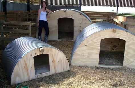 Pig Arks - The Accidental Smallholder Pig Shelter, Animal Enclosures, Animal Homes, Livestock Shelter, Goat Shelter, Goat Pen, Raising Pigs, Goat House, Goat Barn