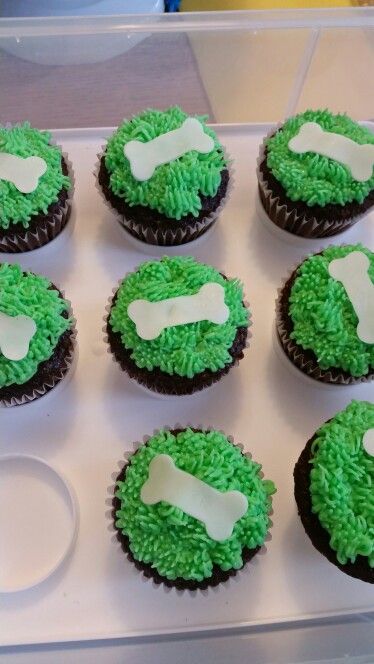 Paw patrol dog bone cupcakes Bone Cupcakes, Birthday Cake Boys, Ideas For Birthday Cake, Paw Patrol Cupcakes, Minecraft Birthday Cake, Make Cupcakes, Paw Patrol Birthday Cake, Cupcake Supplies, Birthday 1st