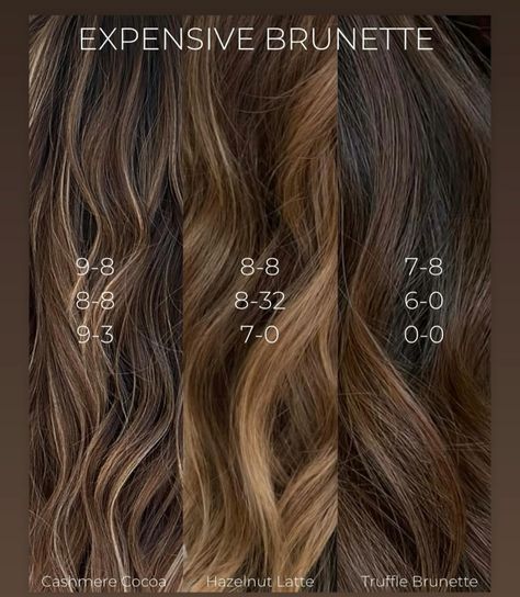 Brunette Shades Chart, Brunette Shades, Hair Shows, Hazelnut, Truffles, Cocoa, Shades, Hair