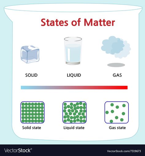 3 States Of Matter, Matter For Kids, Elementary Science Teacher, State Of Matter, Free Graphic Organizers, Human Body Worksheets, Forms Of Matter, Solid Liquid Gas, Science Clipart