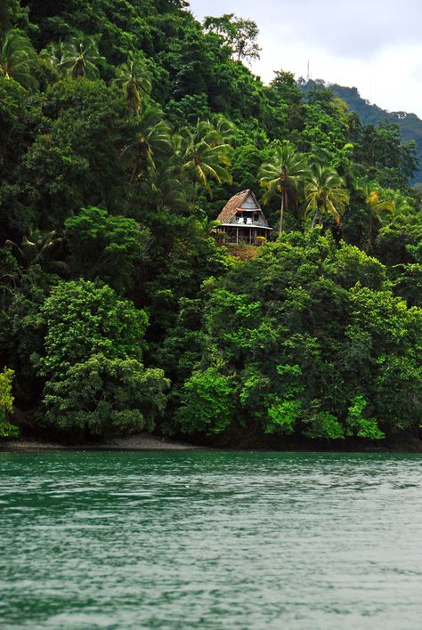 Seen at Golfito, southern Pacific of Costa Rica Costa Rica Life, Costa Rica Retreat, Houses In Costa Rica, Blessed And Grateful, Group Coaching, Beach Yoga, Mind Body Spirit, Dream Lifestyle, Lifestyle Design