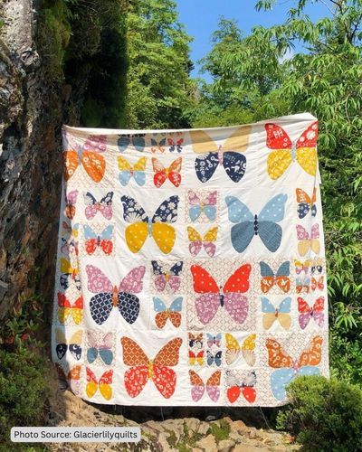 Top 20 Free Butterfly Quilt Block and Quilt Patterns (+13 Bonus Patterns For Sale) Butterfly Quilt Block, Modern Quilt Patterns Free, Butterfly Quilt Pattern, Free Applique Patterns, Panel Quilt Patterns, Laundry Basket Quilts, Butterfly Quilt, Quilt Block Patterns Free, Flower Quilts