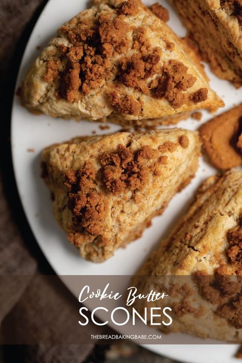 Butter Scones, Biscoff Cookie Recipe, Biscoff Cookie Butter, Scones Ingredients, Cream Scones, Biscoff Cookies, Cinnamon Cookies, Cookie Butter, Crunchy Cookies