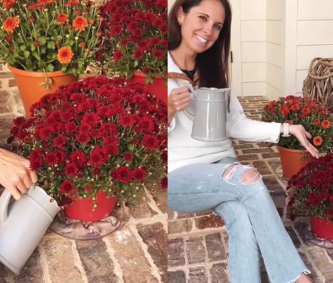 This Trick Will Keep Mums Alive All Season Long | Hunker Planting Mums, Plant Saucers, Fall Flower, Fall Flowers, Simple Tricks, Fall Thanksgiving, Garden And Yard, Container Gardening, Open Shoulder Tops