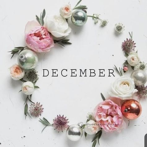 I hardly ever looked forward to December because I would always remember the birthday of a loved one I lost.  Christmas Eve saddens me… Quotes Flower, Wallpaper For Phone, Best Flowers, Hello December, Super Quotes, Flowers Wallpaper, Wreath, Quotes, Flowers