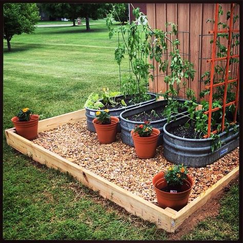 Recycled horse water troughs for raised garden beds Water Troff Garden, Herb Garden Trough, Water Trough Garden Vegetables, Horse Trough Garden, Water Trough Garden, Side Yard Garden, Trough Garden, Plant Troughs, Garden Troughs