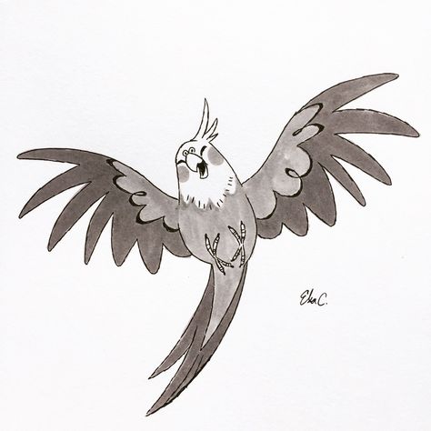 Elsa Chang: #Inktober Day 31: To wrap up Inktober it’s none other than the one...the only...#cockatiel. Hope you’ve enjoyed all the bird drawings this month! #inktober2018 #illustration #bird