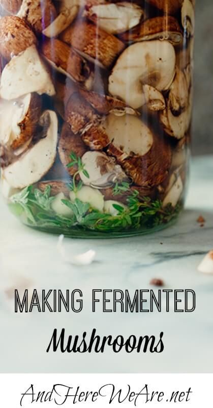 Making Fermented Mushrooms Fermented Meal Ideas, Fermented Hummus, Pickled Mushrooms Recipe, Fermented Mushrooms, Fermented Food Recipes, Fermented Fruit, Fermented Recipes, Fermented Vegetables Recipes, Fermenting Foods