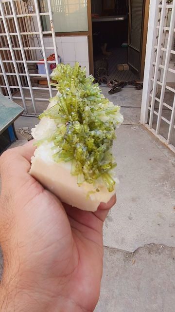 Muhammad Majid on Instagram: "Natural Green Color Tourmaline Crystals Garden with Topaz, Rare Microlite, Quartz and Feldspar Specimen from Chapu Mine Skardu Pakistan Weight : 586 Gram Dimensions : 135*60*96 mm #tourmaline #tourmalines #tourmalinecrystal #tourmalinecrystals #tourmalinespecimen #tourmalinekings #topaz #topazstone #microlite #quartz #feldspar #rarecrystals #rareminerals #crystalcluster #crystals #crystalshop #minerals #mineralsparadise #gemstones #gemporn #geologypage #geologywonders #rockhound #mineralcollection #crystalsofinstagram #mineralsofig #geologi #giveaway #rocksforsale #mineralshow" Crystals Garden, Teacup Poodle Puppies, Tea Cup Poodle, Skardu Pakistan, Magic Stones, Crystal Garden, Geology Rocks, Mineral Collection, Tourmaline Stone