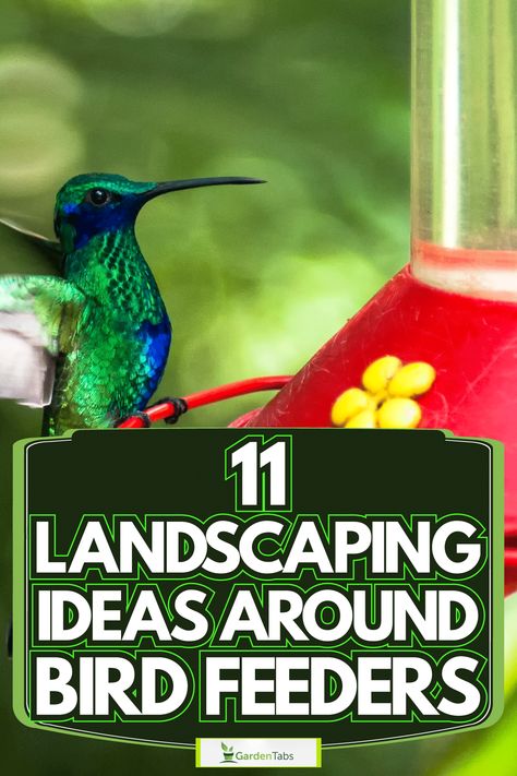 11 Landscaping Ideas Around Bird Feeders Rustic Bird Feeders, Too Many Plants, Bird Feeder Station, Large Bird Feeders, Bird Feeder Stands, Backyard Birds Sanctuary, Backyard Birds Feeders, Make A Bird Feeder, Bird Feeder Poles