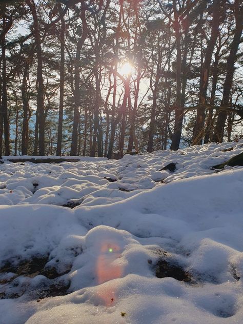 Sunny day in the Winter woods Sunny Snowy Day, Sunny Winter Morning, Sunny Winter Day, Sunny Winter, Winter Woods, Snow Days, Winter Sky, Winter Wood, Winter Mornings