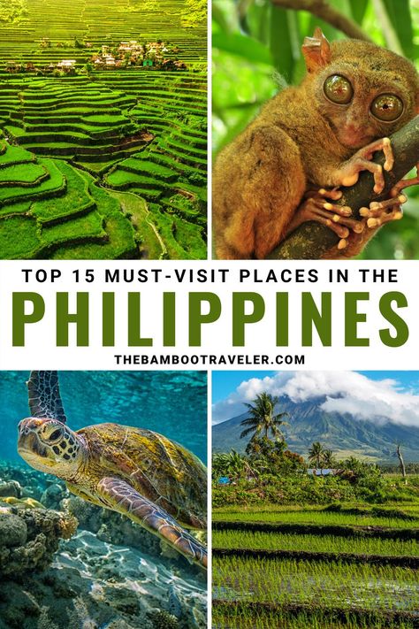 Philippine Vacation, Things To Do In Philippines, Philippine Travel Destinations, Island Hopping Outfit Philippines, Philippine Travel, Traveling Philippines, Philippines Bucket List, Places To Visit In The Philippines, Phillipines Travel Aesthetic