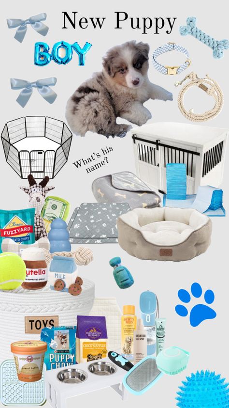 Dog Room Design, Dog Supplies List, Cute Pet Names, New Puppy Checklist, Puppy Room, Cute Dog Toys, Puppy Mom, Dog Mommy, Puppy Accessories