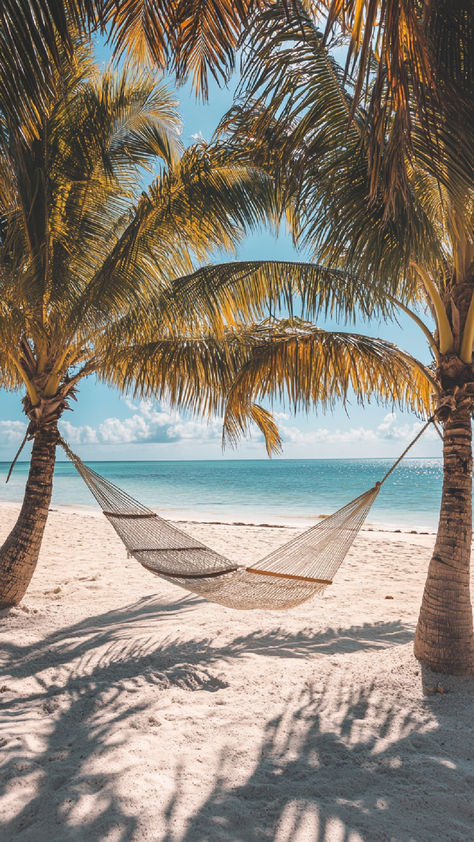 A tranquil beach scene featuring a hammock strung between two palm trees, one of the best places to live in the Caribbean. Dream Escape, Island Lifestyle, Island Life Style, Places To Live, Caribbean Island, Roatan, Best Places To Live, Island Girl, Quality Of Life