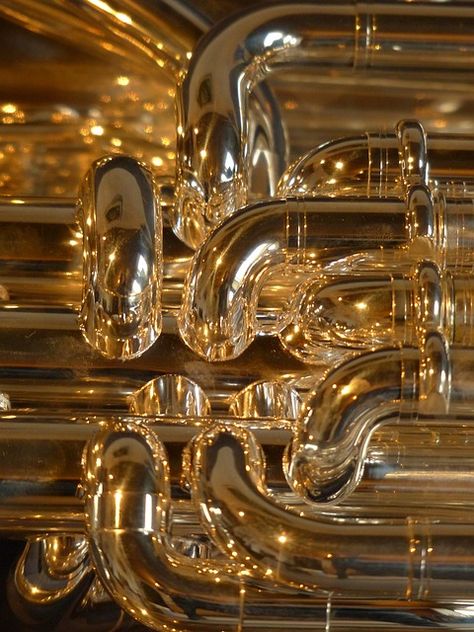 Free Image on Pixabay - Euphonium, Brass Instrument Brass Instrument, Brass Instruments, Band Geek, Concert Band, Band Pictures, Music Images, Brass Band, Music Photo, Music Aesthetic