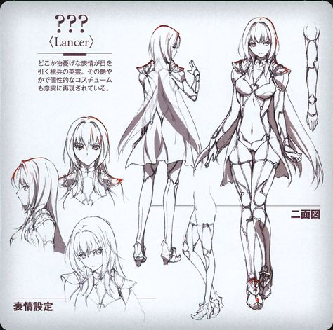 Lancer Scáthach Fate Scathach, Scathach Fate, Artist Tutorials, Fate Stay Night Series, Model Sheet, Character Sketches, Fate Grand Order, Character Sheet, Female Character Design