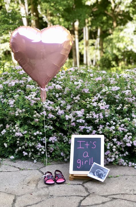 Dekore Per Ditelindje, Gender Reveal Ideas For Photoshoot, Gender Reveal Post Photo Ideas, Gender Reveal Photo Shoot Ideas, Gender Announcement Pictures, Gender Reveal Post, Baby Reveal Photoshoot, Baby Girl Announcement Ideas, Gender Reveal Photo Shoot