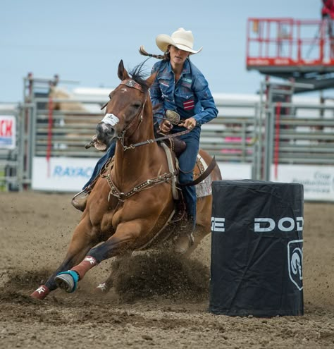 Barrel Racing Photos, Barrel Racing Photography, Horses Beautiful, Foto Cowgirl, Western Pleasure Horses, Sport Boots, Barrel Racing Saddles, Rodeo Girls, Barrel Racing Tack