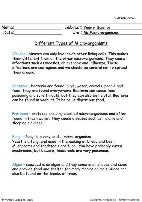 PrimaryLeap.co.uk - Different types of micro-organisms Worksheet Types Of Microorganisms, Microbiology Study, Questions To Answer, Micro Organisms, 7th Grade Ela, Cell Cycle, Science Lesson, Science Lesson Plans, Primary Resources