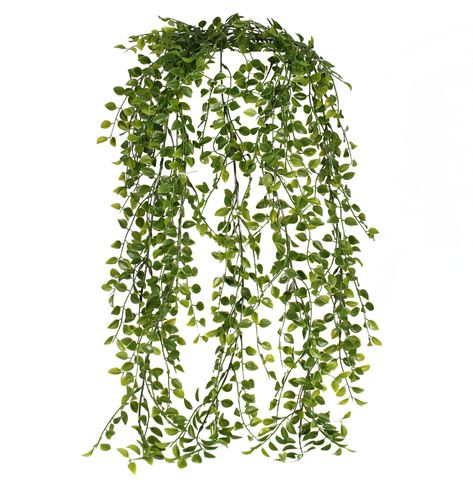 Flowering Creepers, Ancient Paper, Creeping Fig, Fake Hanging Plants, Artificial Hanging Plants, Trees And Flowers, Trailing Plants, Decorative Planters, Small Leaf