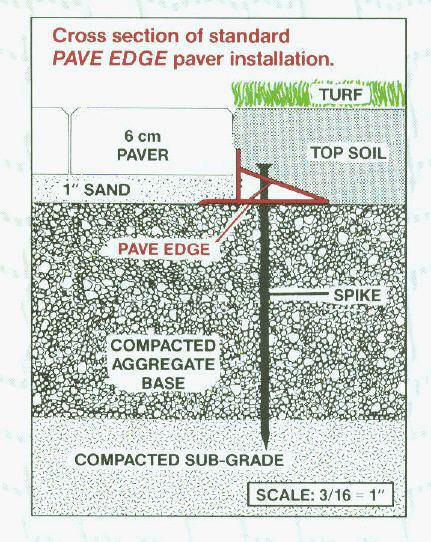 Pavetech PVC Edge Restraint Holland Pavers, How To Lay Pavers, Stepping Stone Path, Paving Edging, Paver Sand, Cobblestone Pavers, Interlocking Pavers, Stepping Stone Paths, How To Install Pavers