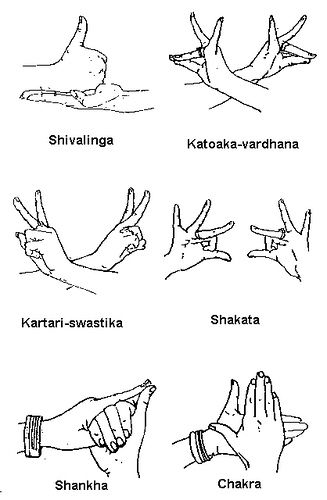 Samyukta Hasta (read: Sum-yook-tha Husstha) - Also known as double hand gestures or combined hand gestures. These gestures require use of both the palms to convey the message or a particular meaning. Usually, these gestures are performed using one or a combination of various single hand gestures. Each gesture has its own use which is termed as Viniyoga (read: we-nee-yoga) Belly Dancing For Beginners, Bharatanatyam Dancer, Bharatanatyam Poses, Kathak Dance, Dance Of India, Hand Mudras, Dance Picture Poses, Yoga Hands, Dancing Drawings