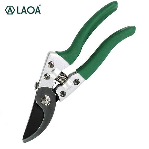 Pruning Fruit Trees, Silver Spray, Pruning Tools, Garden Scissors, Garden Shears, Tree Pruning, Fruit Tree, Bonsai Garden, Turquoise Green