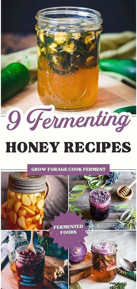 Explore our 9 Fermenting Honey Recipes for unique and healthful ways to enjoy fermented foods. This collection includes innovative recipes like hot honey and fermented elderberry honey, blending the benefits of raw honey with the art of fermentation. These recipes are suitable for both beginners and seasoned fermenters. Find more long term food storage, herbs for health, and natural herbs medicine at growforagecookferment.com. Benefits Of Raw Honey, Elderberry Honey, Innovative Recipes, Fermented Vegetables Recipes, Herbs Medicine, Onion Benefits Health, Resep Vegan, Raw Honey Benefits, Fermented Honey