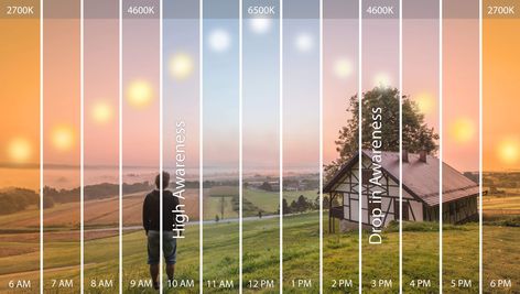 What is Circadian Lighting? - The Lighting Practice Fitting Room Lighting, Data Representation, Lighting Pictures, Electric Art, Architecture Instagram, Modern Led Lighting, Light System, Lighting Plan, Biophilic Design