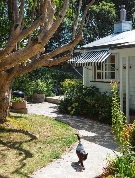 A beautiful cottage on Waiheke Island in New Zealand Hastings House, Attic Shelves, Attic Staircase, New Zealand Beach, Attic Doors, Small Attic, Attic Insulation, Waiheke Island, New Zealand Houses