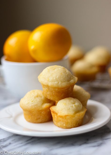 Meyer Lemon Mini Muffins | ChezCateyLou.com Muffins Greek Yogurt, Blueberry Yogurt Cake, Meyer Lemon Recipes, Mini Muffin Recipe, Whiskey Sour Recipe, Lemon Treats, Lemon Muffins, Meyer Lemon, Lemon Desserts