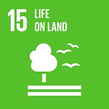 Sustainable Development Goals - CDP Sdg Goals, Terrestrial Ecosystems, Land Degradation, Un Global Goals, Land Resources, Life On Land, Garden Slabs, Biodiversity Loss, International Red Cross