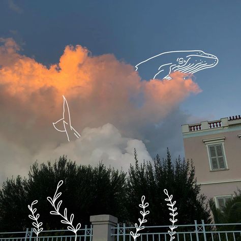 M. on Instagram: “Magical sunsets. . . . #sunset #sky #clouds #fluffy #fluffycloud #whale #drawing #doodle #illustration #digitalillustration…” Sunset Doodle, Sky Doodles, Clouds Fluffy, Sunset Sky Clouds, Whale Drawing, Book Annotation, Doodle Illustration, Sunset Sky, Sky Clouds