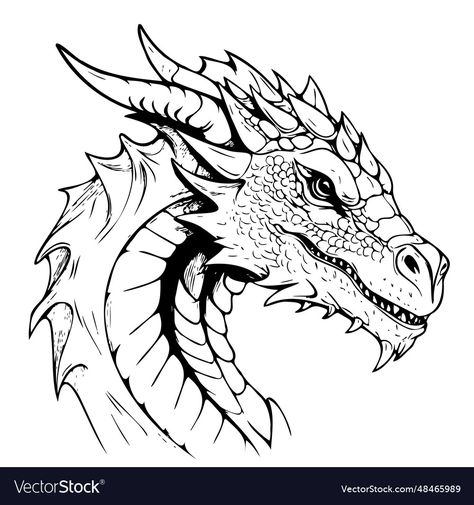 Dragon Head Line Art, Face Drawing Front View, Dragon Face Drawing, Front View Reference, Scribal Art, Dragon Head Art, Dragon Line Drawing, Dragons Illustration, Dragons Drawings