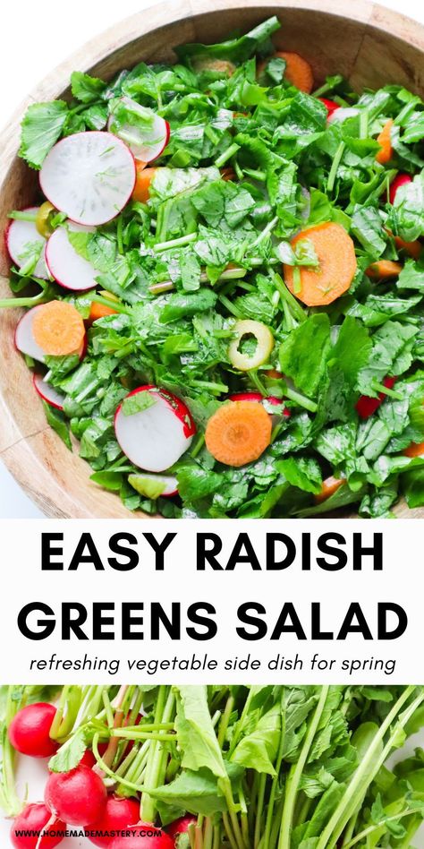 Radish leaves are edible and healthy, don't throw them away! Put them to use with this simple radish greens salad recipe. It's an excellent healthy side dish salad for spring or autumn when radishes are in season and goes great with rice- and meat-based dishes to lighten them up! Radish Greens, Green Salad Recipes, Healthy Superfoods, Radish Salad, Easy Homemade Recipes, Garden Recipes, Salad Side Dishes, Green Salad, Healthy Side Dishes