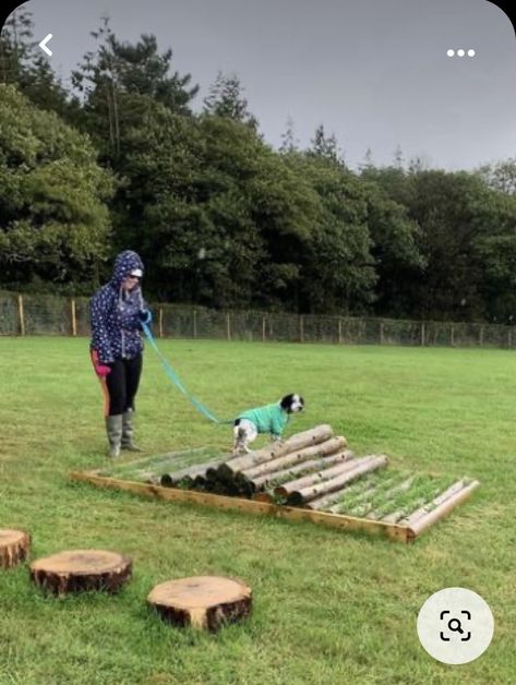 Natural Dog Playground, Dog Sensory Garden, Dog Playground, Dog Enrichment, Dog Garden, Sensory Garden, Dog Info, Animal Shelter, So Cool