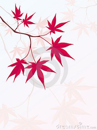 Japanese Maple Royalty Free Stock Image - Image: 2491026 Maple Leaves Drawing, Tattoos In Other Languages, Hannya Maske Tattoo, Maple Leaf Drawing, Maple Tree Tattoos, Hannya Maske, Japanese Maple Leaves, Branch Illustration, Maple Leaf Logo