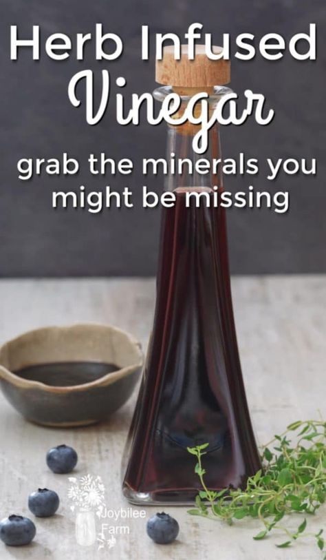 Make Herb Infused Vinegar And Grab the Minerals You Might Be Missing Herbed Vinegar Recipes, Extra Vitamins, Infused Vinegars, Farm Diy, Oat Straw, Herbal Health, Barley Grass, Herb Gardening, White Balsamic Vinegar